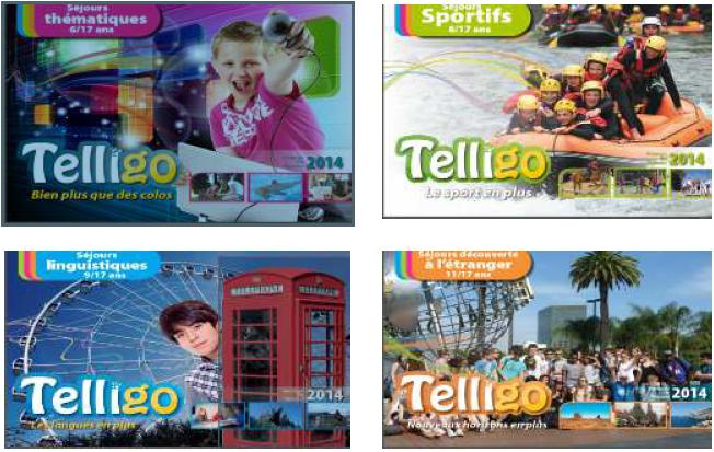 Brochures_telligo_2014