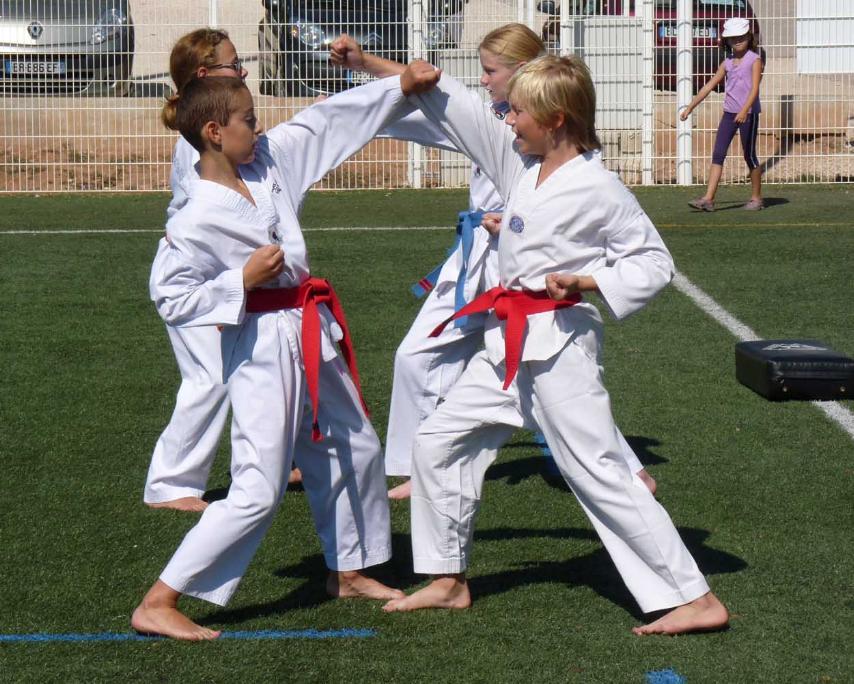 taekwondojdf2012
